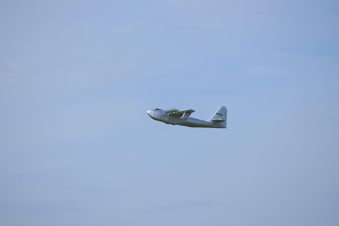 Fly Spruse goose semiskala vandfly billede 10