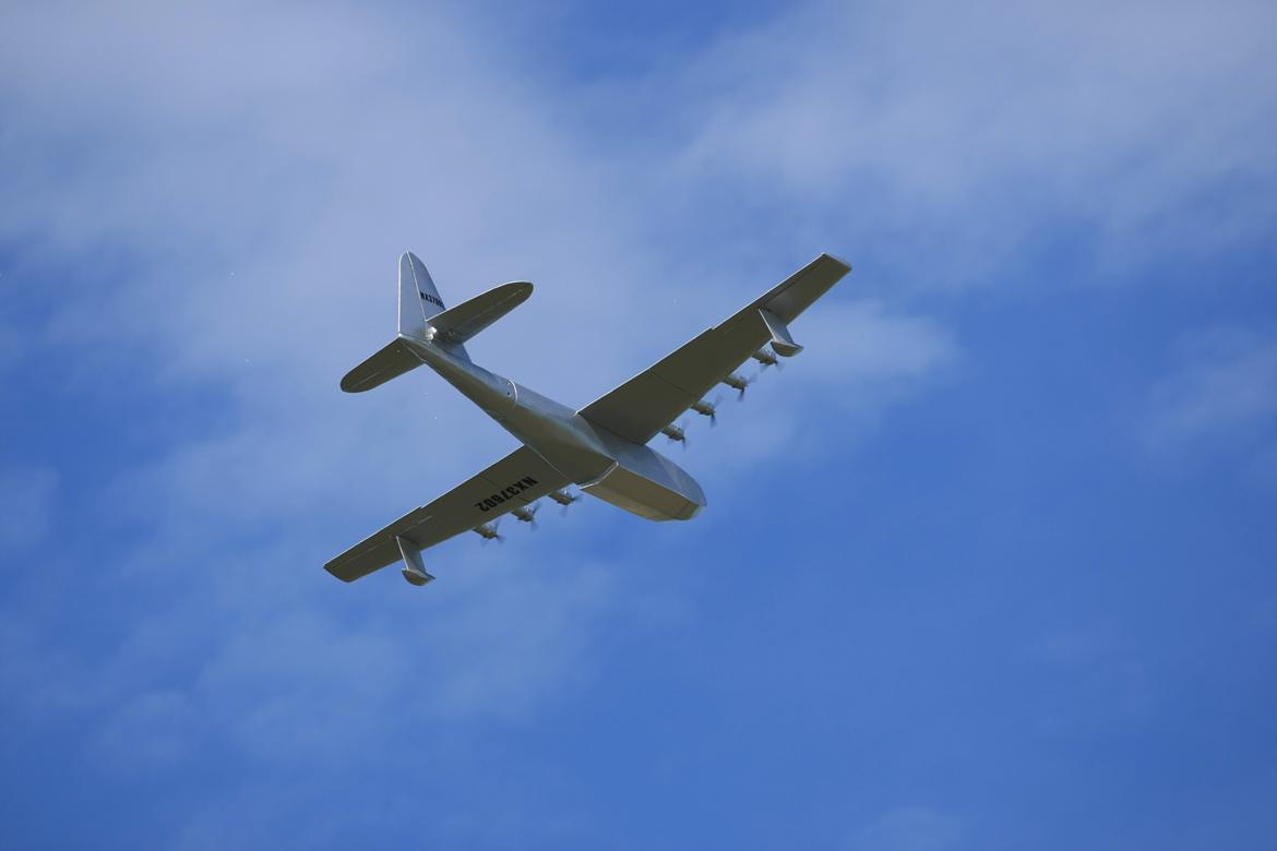 Fly Spruse goose semiskala vandfly billede 11