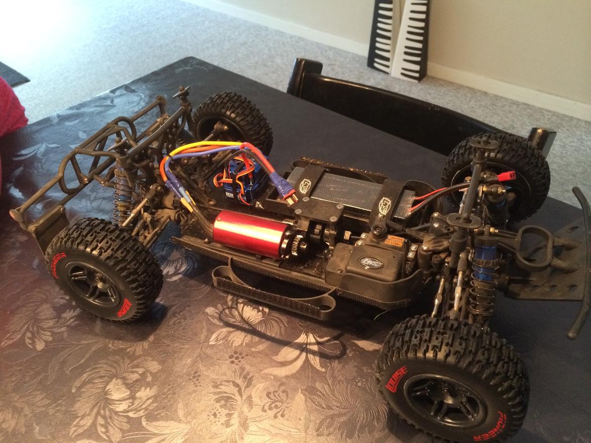 Bil Losi ten scte  billede 2