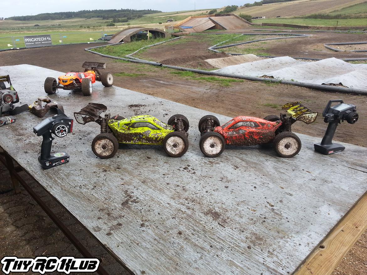 Buggy Agama a8 EVO-E billede 4