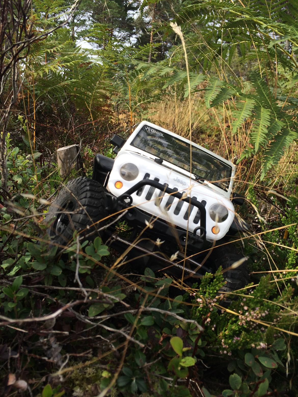 Bil Axial scx10 billede 9