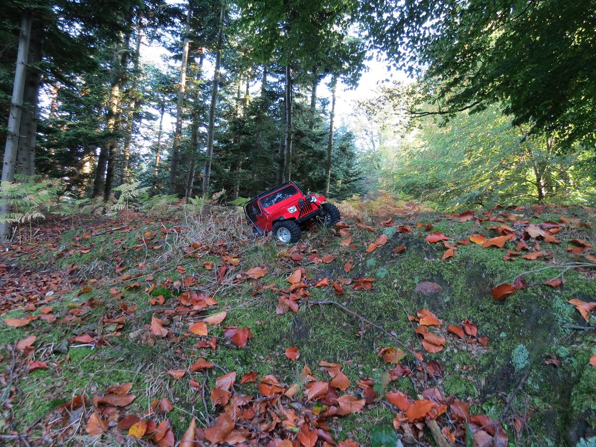 Bil Jeep Wrangler billede 37