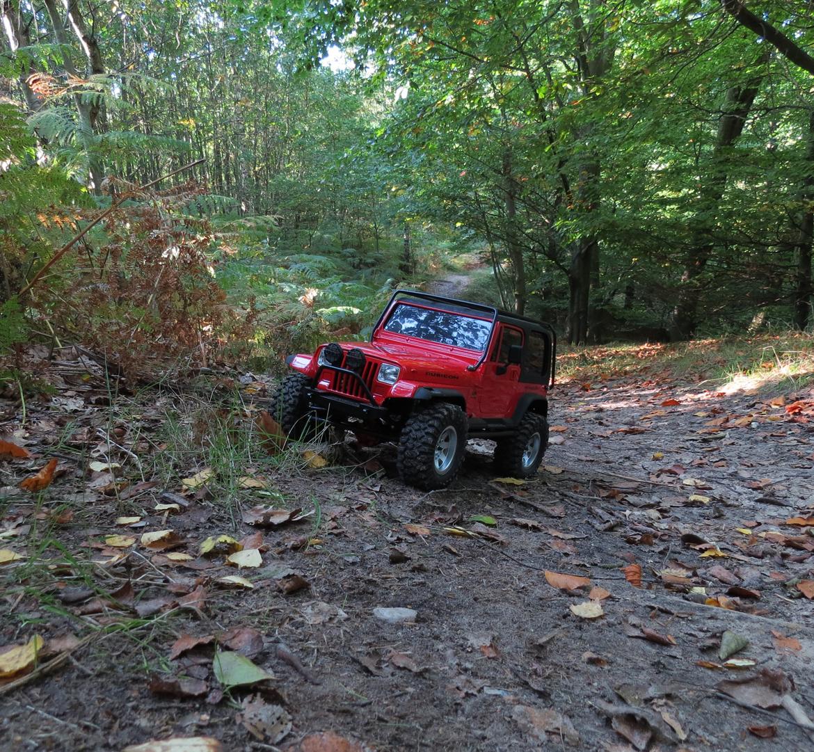 Bil Jeep Wrangler billede 40