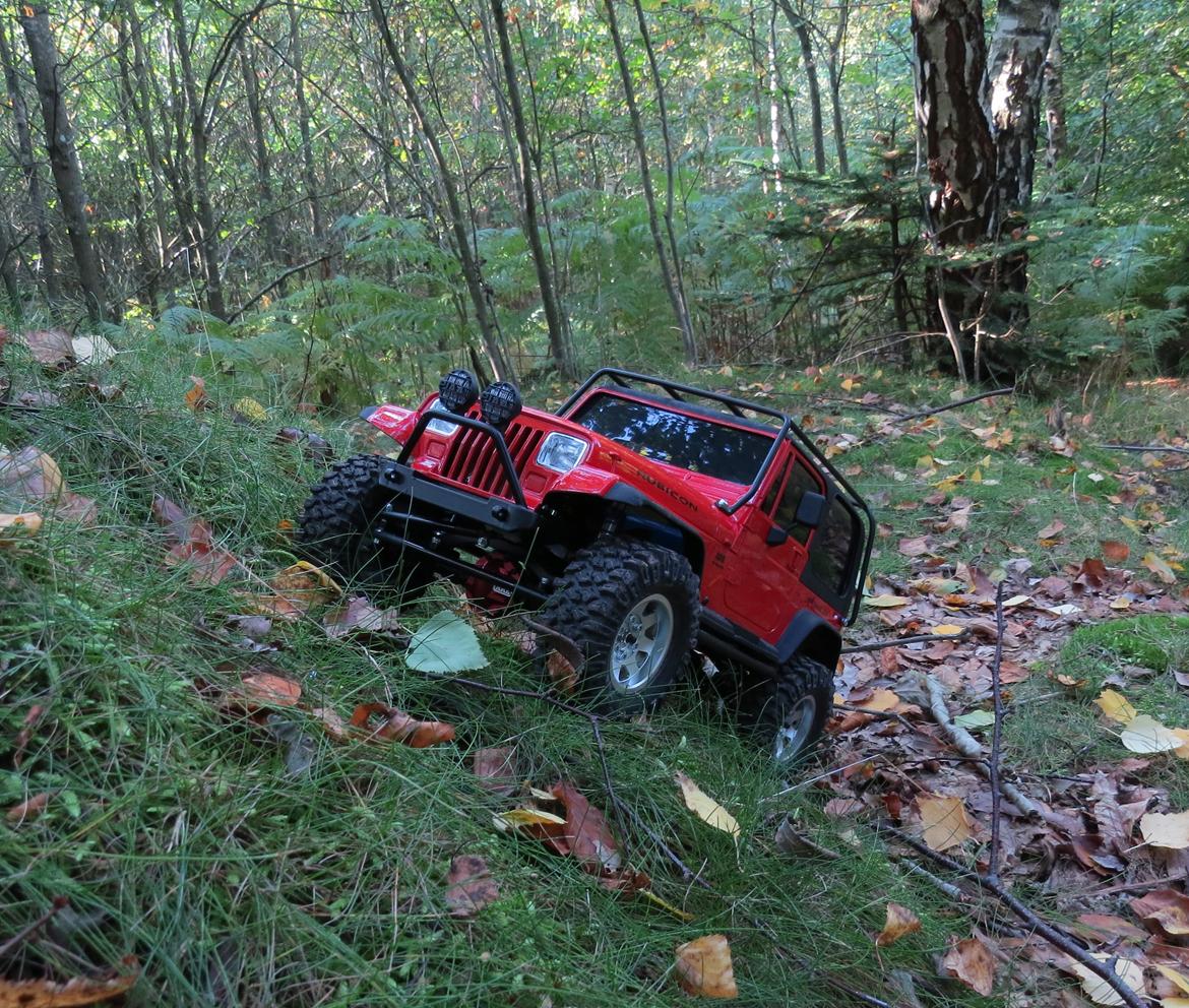 Bil Jeep Wrangler billede 41