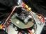 Multirotor Quadcopter DIY