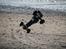 Off-Roader HPI Baja 5B 2.0