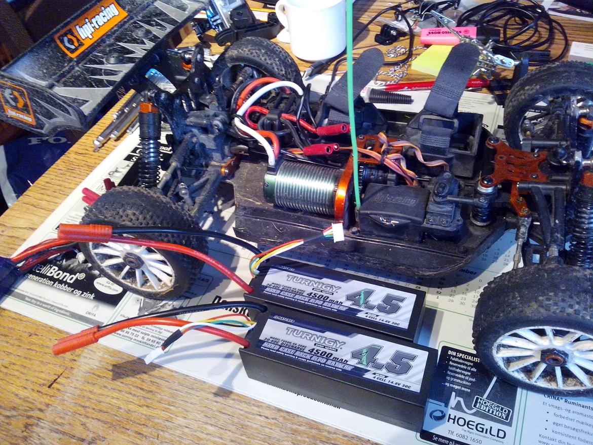 Buggy Trophy buggy mamba monster billede 26