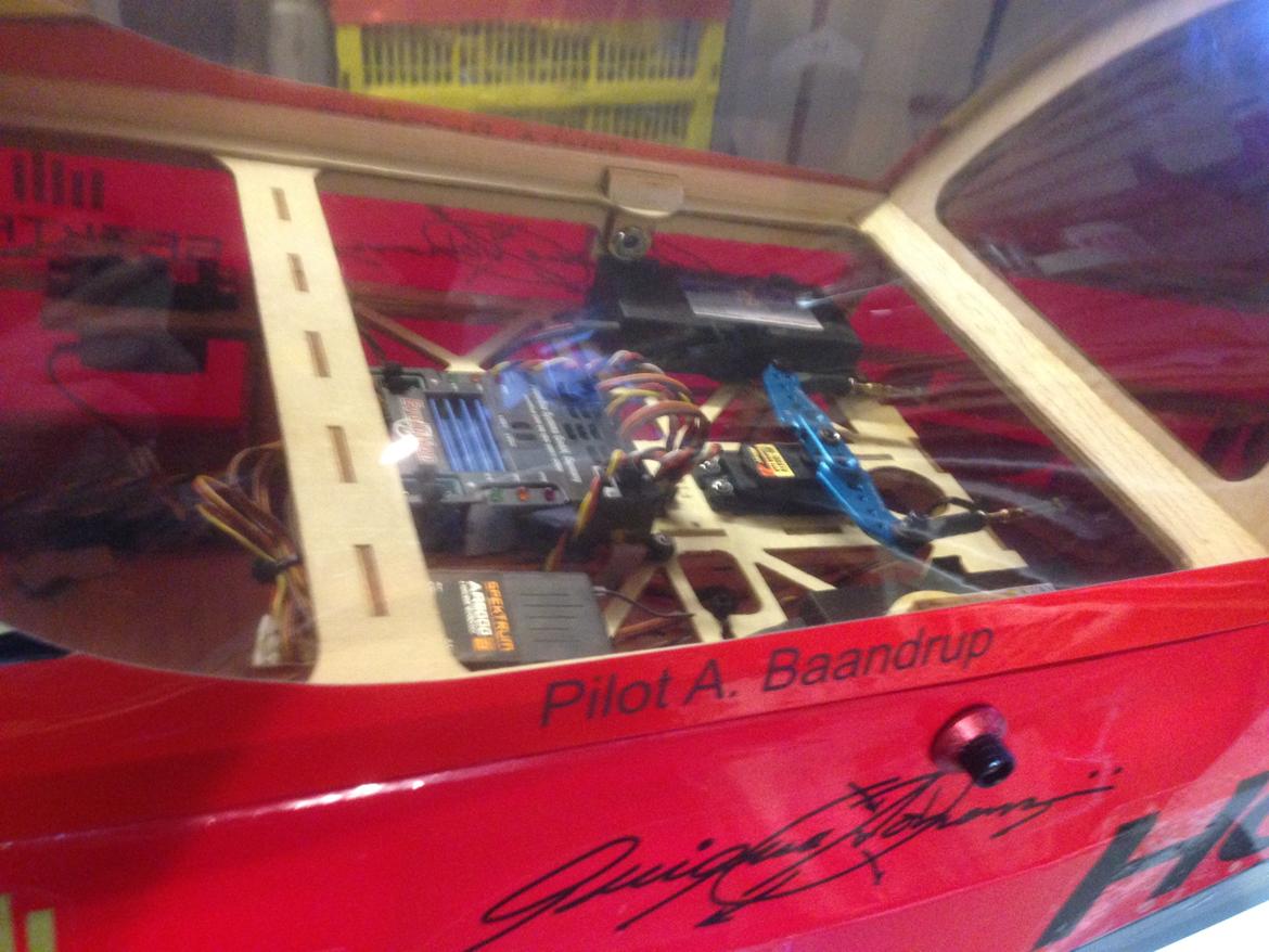 Fly Beast STYRTET og DØD billede 3