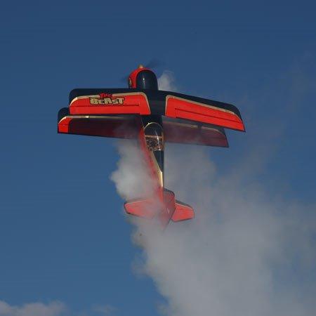 Fly Beast STYRTET og DØD billede 4