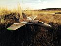 Fly Funjet Ultra 6 s Lipo R.I.P
