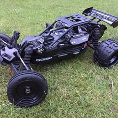Buggy Scorpion XXL