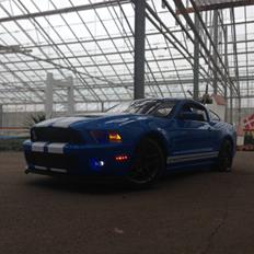 Bil Rastar Ford Shelby GT500