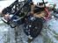 Buggy Tamiya Fast Attack Vehicle