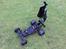 Buggy Scorpion XXL