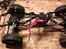 Off-Roader (solgt)Land Rover Truggy 