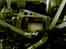 Lastbiler FG Sportsline