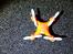 Multirotor Cheerson CX-10