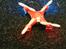 Multirotor Cheerson CX-10