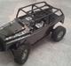 Off-Roader Axial SCX Custom Dingo