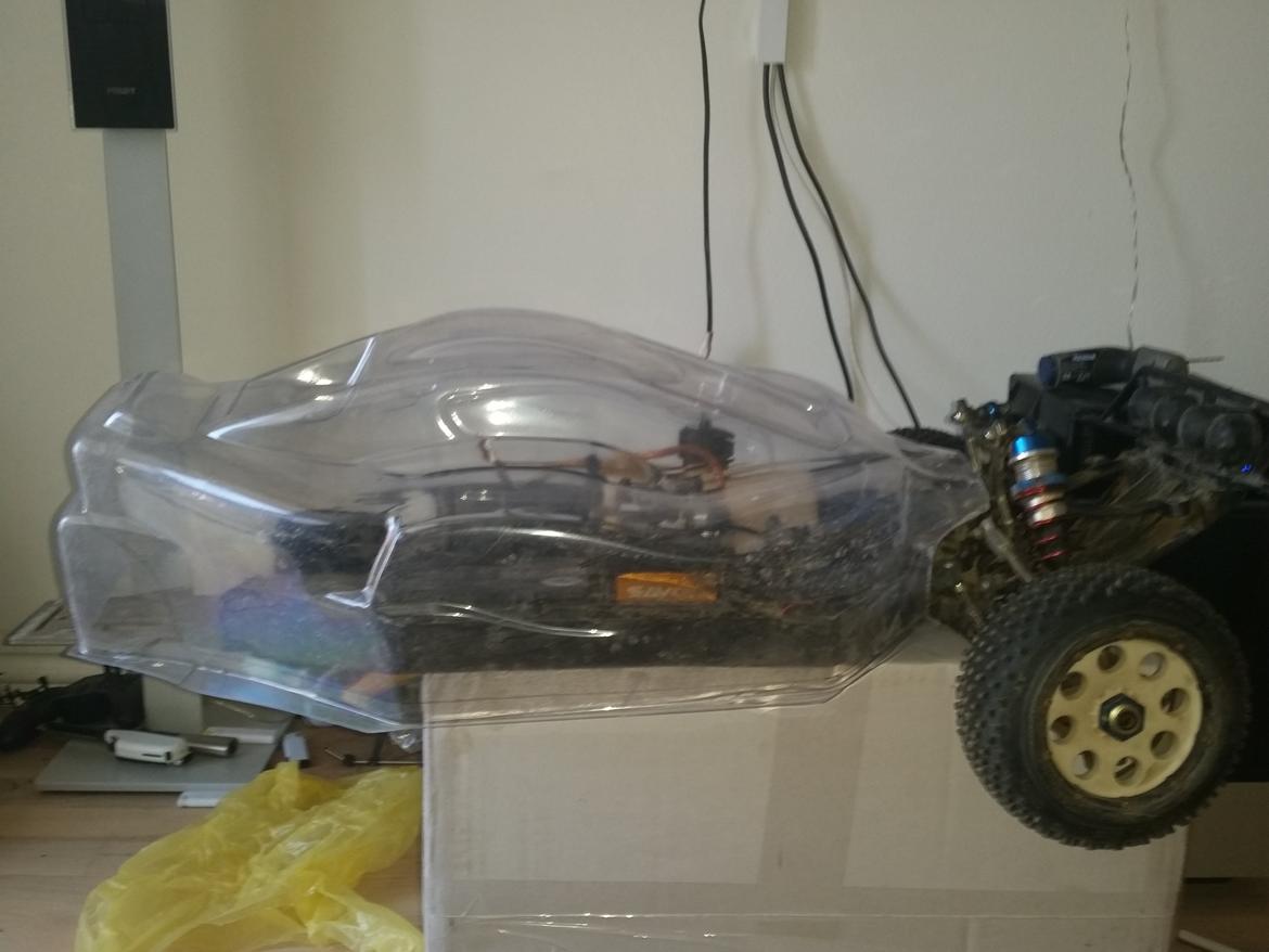 Buggy losi 5b billede 24