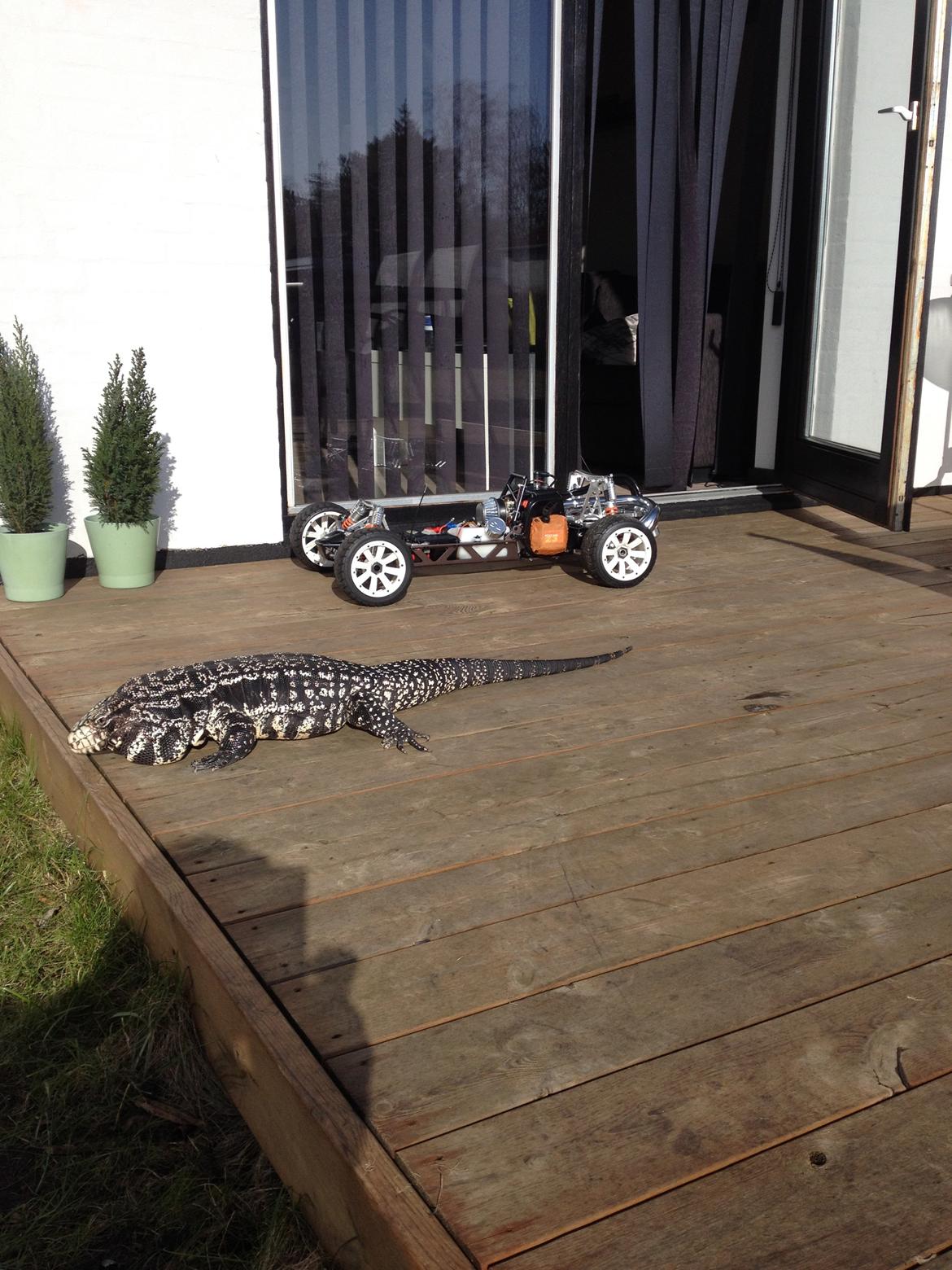 Bil Baja 5b billede 2