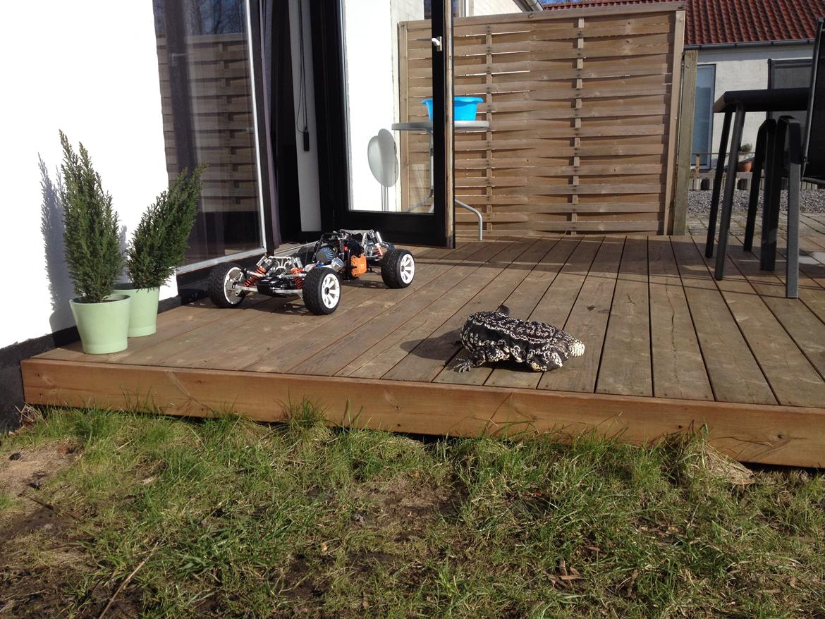 Bil Baja 5b billede 31