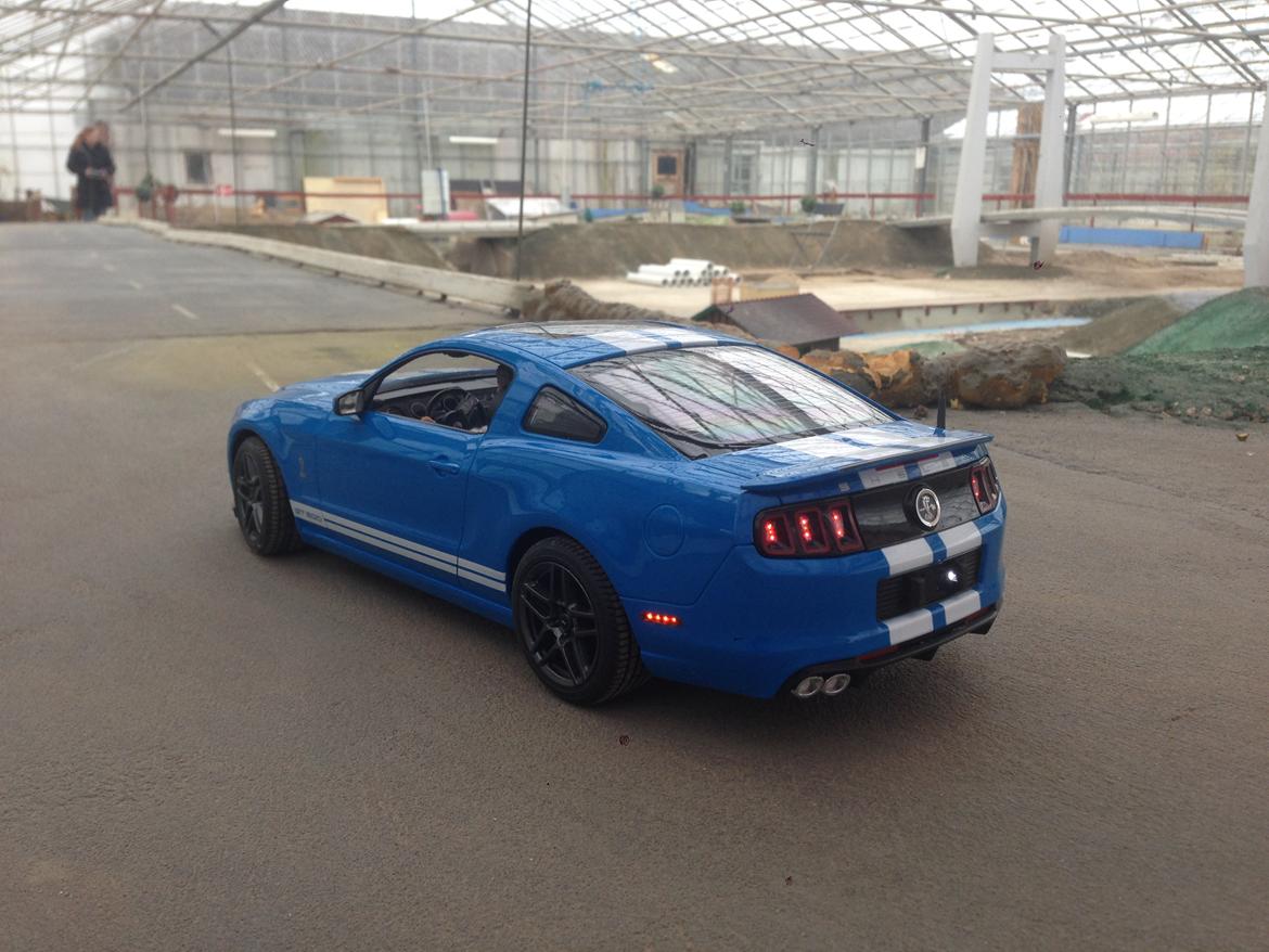 Bil Rastar Ford Shelby GT500 billede 16