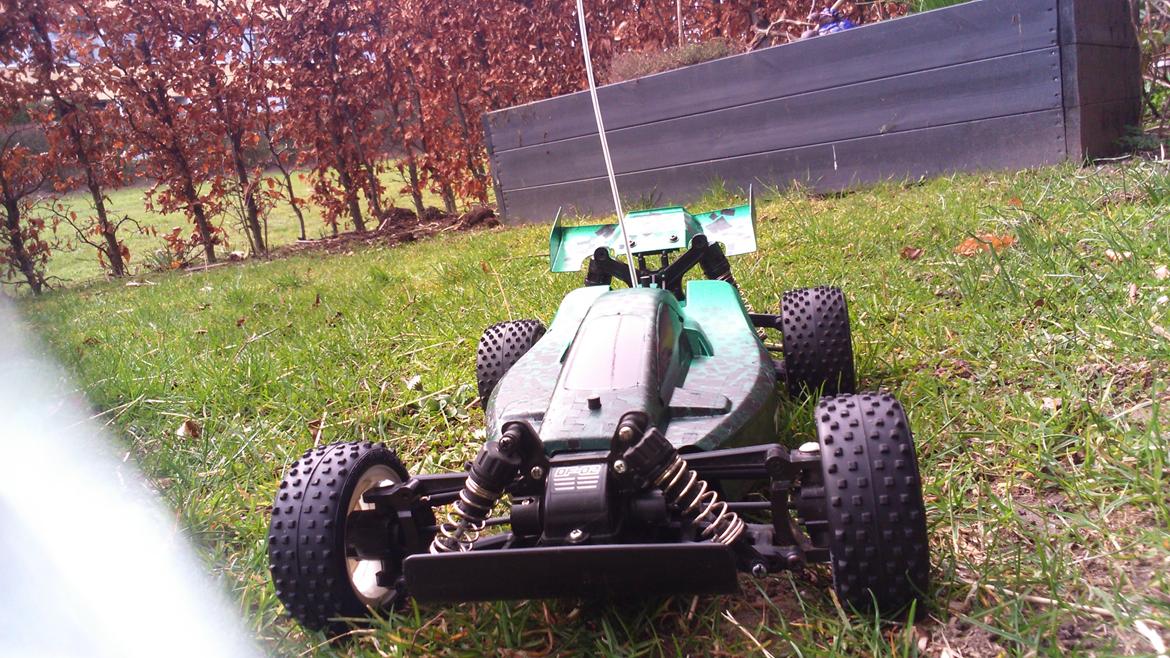 Buggy Tamiy Df-02 Racing Storm  _"DLH Custom edition"_ billede 2