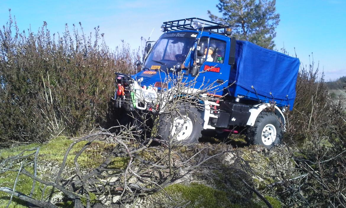 Lastbiler Carson unimog U 300 MB/ CC-01 billede 40