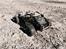 Buggy Tamiya Fast Attack Vehicle