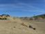 Off-Roader Vaterra Glamis Uno