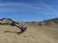 Off-Roader Vaterra Glamis Uno