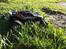 Off-Roader Traxxas Jato 3,3