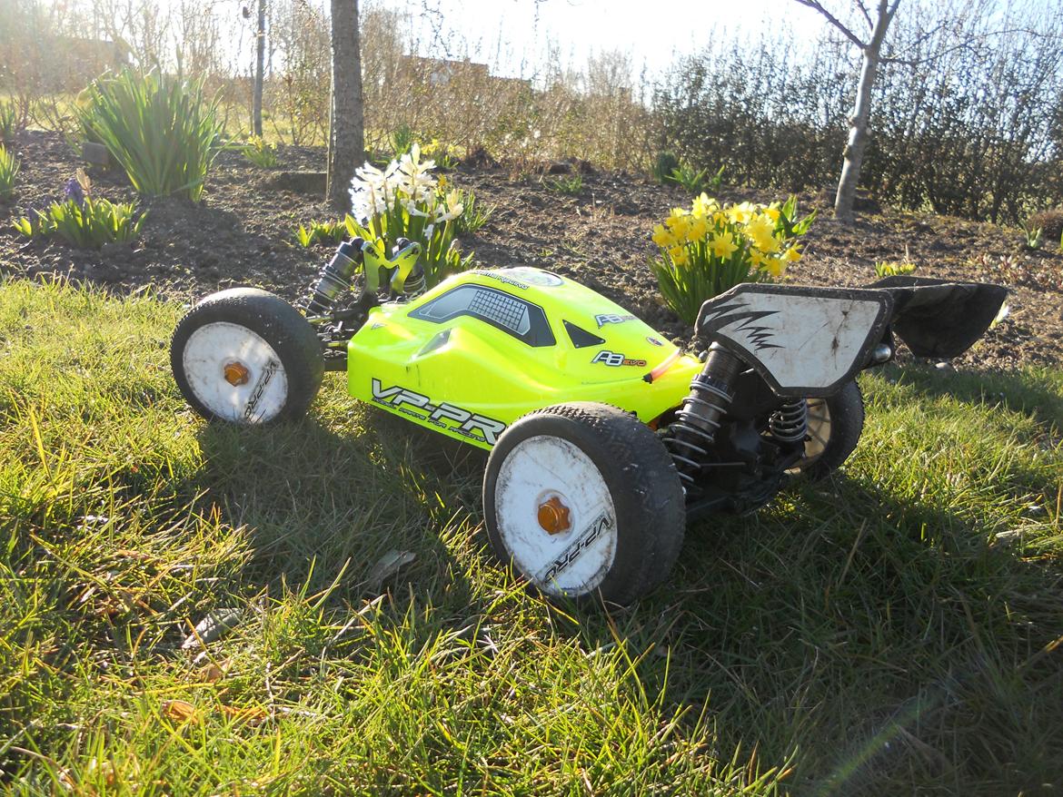 Buggy Agama A8 Evo E billede 4