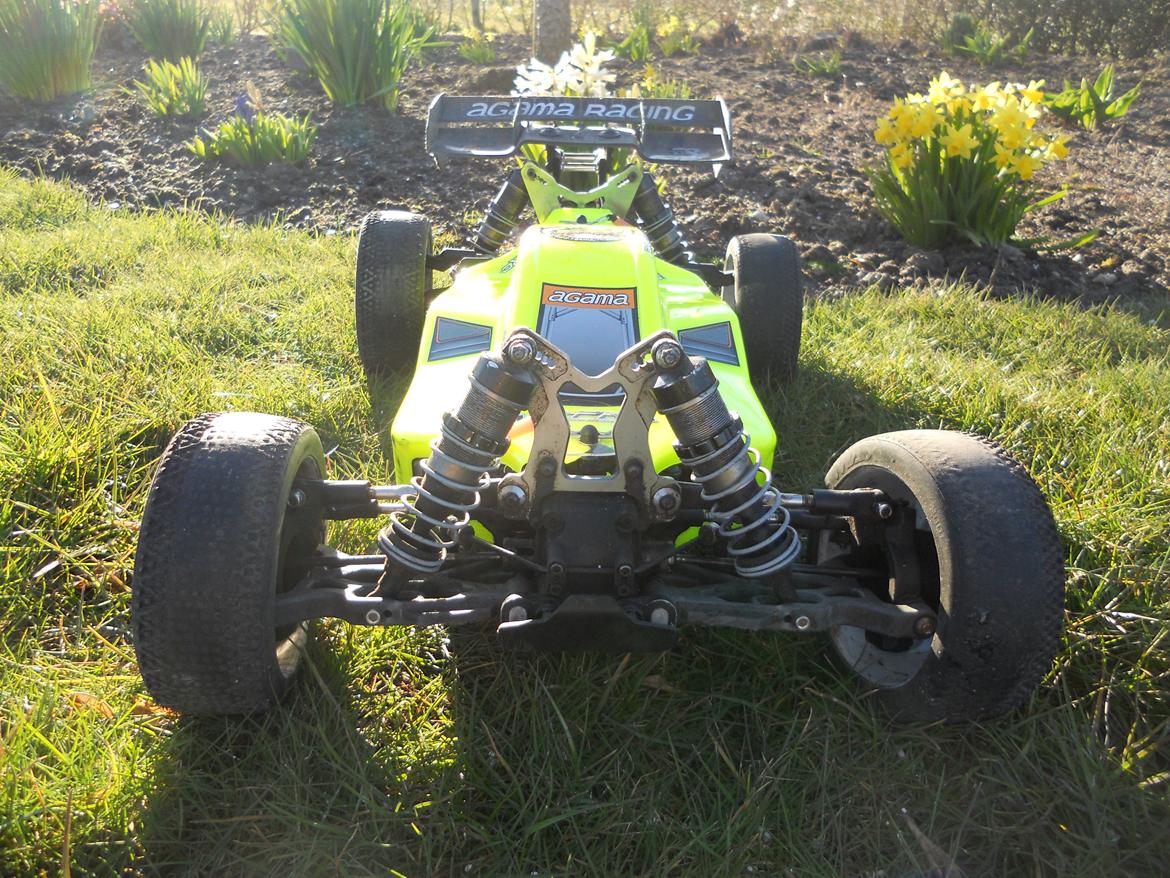 Buggy Agama A8 Evo E billede 2