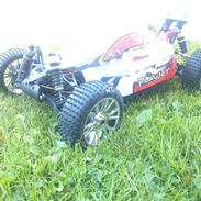 Buggy  1/8 brushless buggy