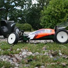 Buggy Team Associated B4.1