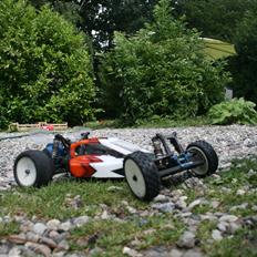 Buggy Team Associated B4.1