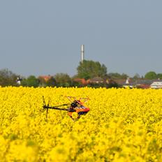 Helikopter Beam 600 Avantgarde