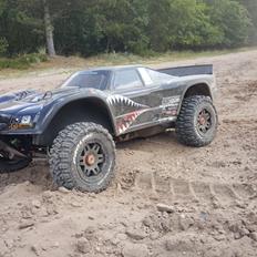 Off-Roader HPI baja 5T