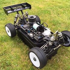 Buggy Losi 8ight 3.0