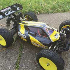 Bil Losi 1:14 Mini 8IGHT 4wd