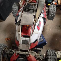 Bil FG Baja buggy 4WD
