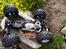 Off-Roader CEN Mg10 MT3 