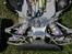 Buggy Elcon MMX 