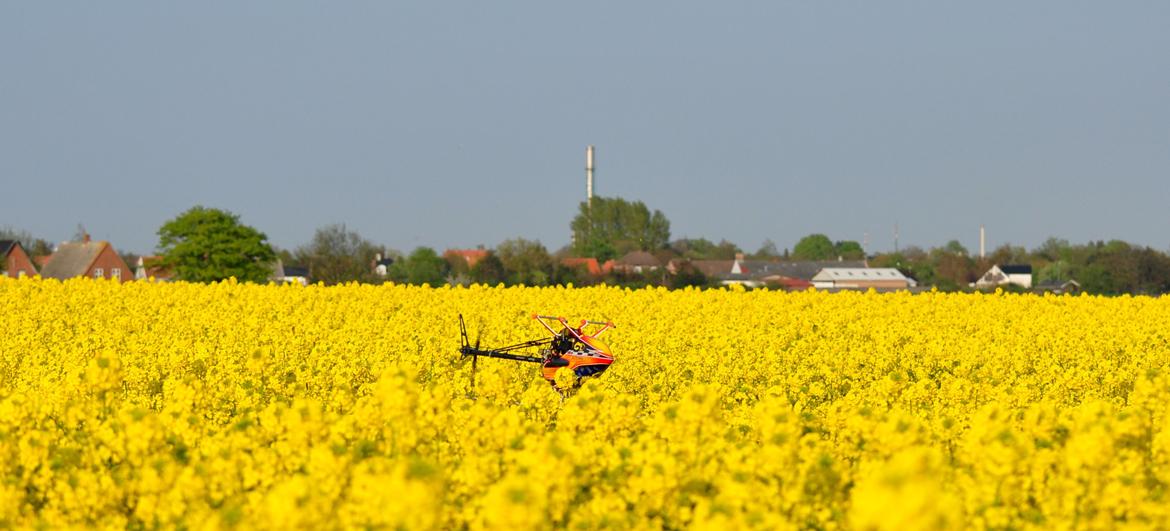 Helikopter Beam 600 Avantgarde billede 1