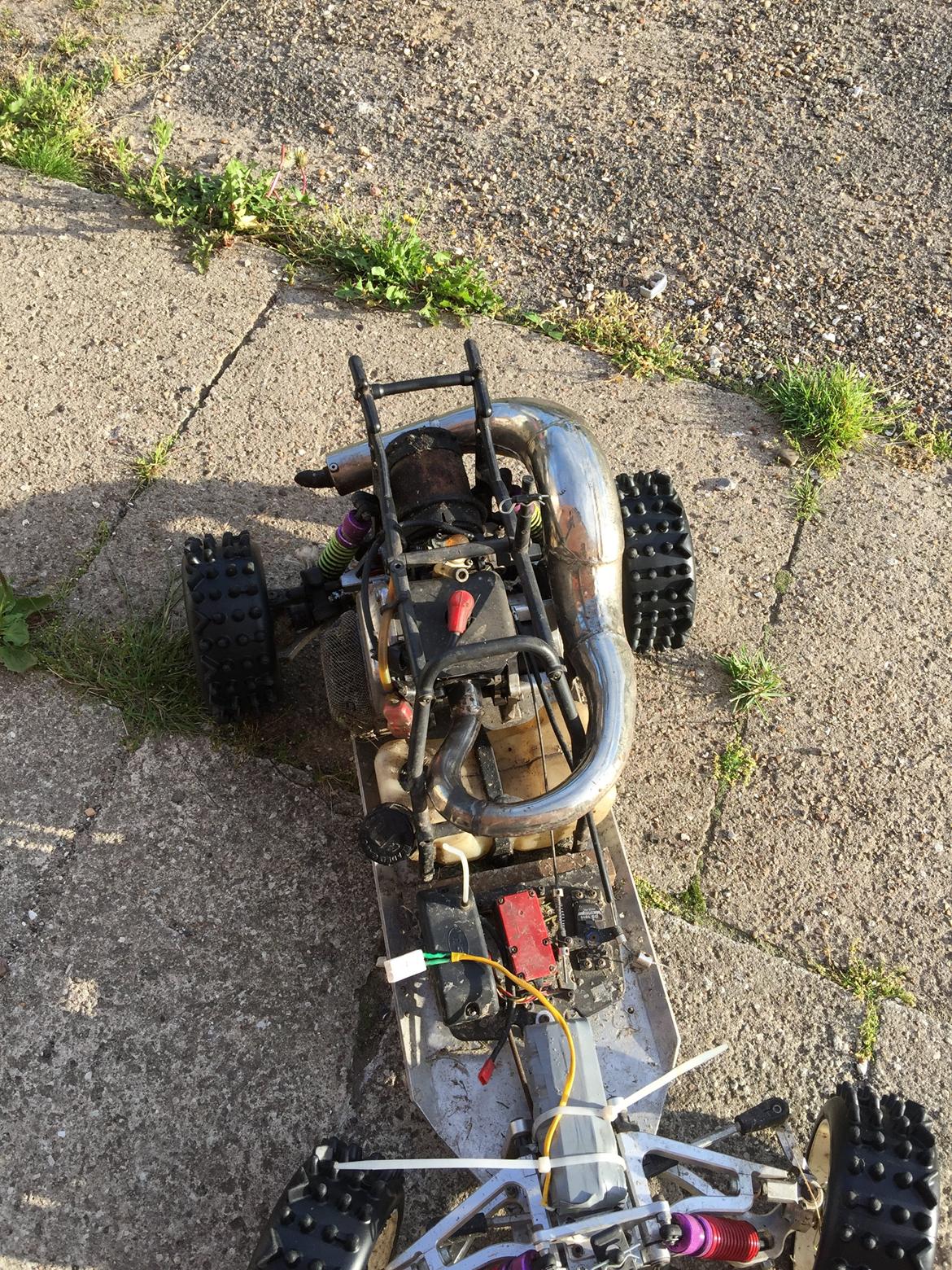 Bil fg leopart/ beetle billede 13