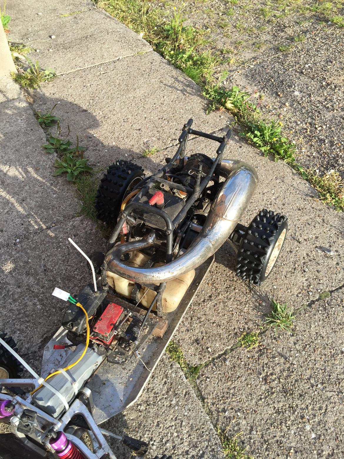 Bil fg leopart/ beetle billede 14