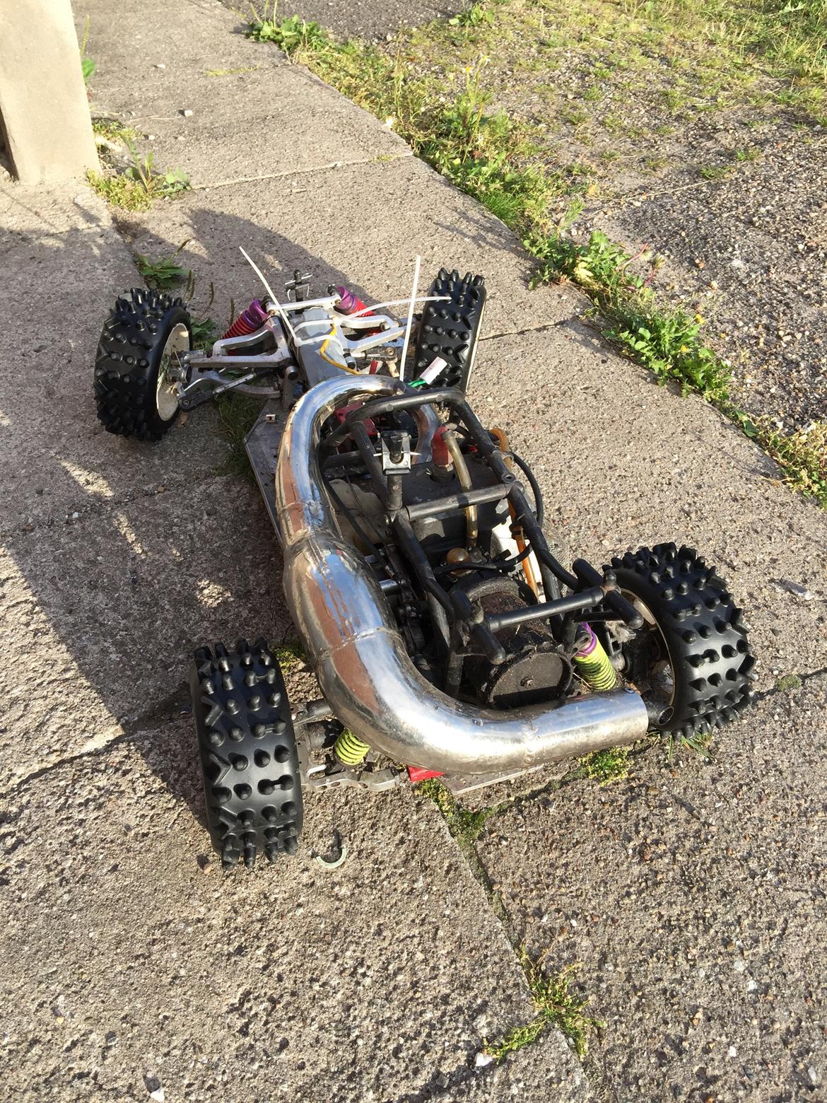 Bil fg leopart/ beetle billede 15