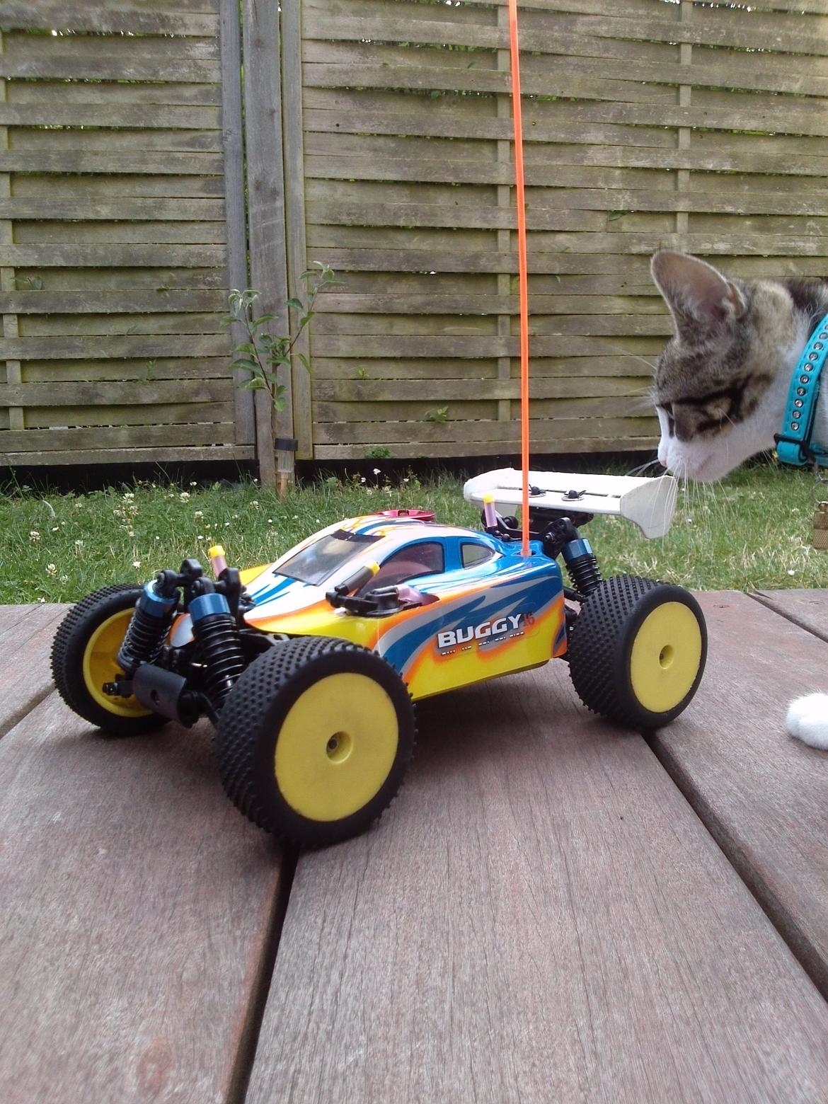 Buggy Off-Road Acme NB-16 RTR billede 6